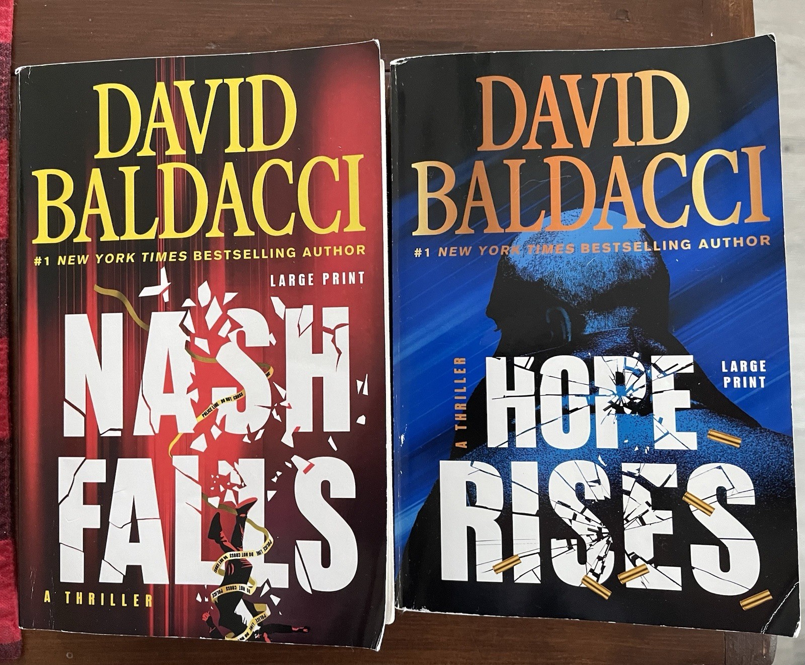 David Baldacci Large Print Nash Falls Hope Rises
