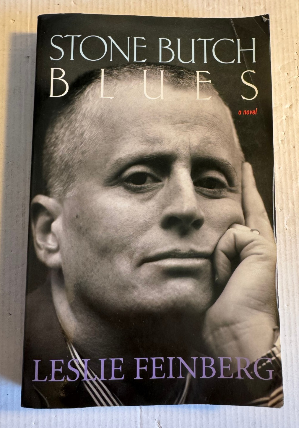 Stone Butch Blues Leslie Feinberg Alyson 2007 5th Printing Paperback