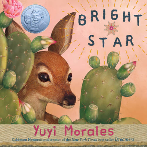 Bright Star – Hardcover By Morales, Yuyi – VERY GOOD