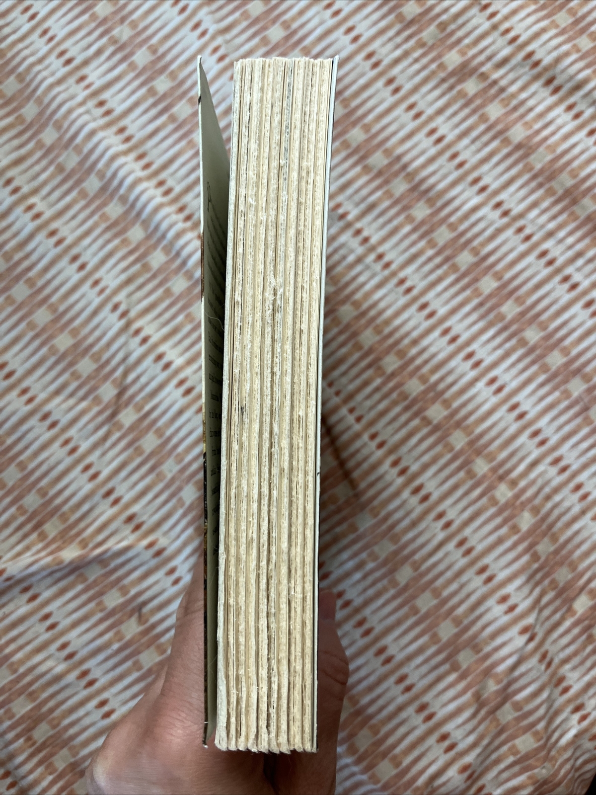 Pax Ser.: Pax by Sara Pennypacker (2019, Trade Paperback)