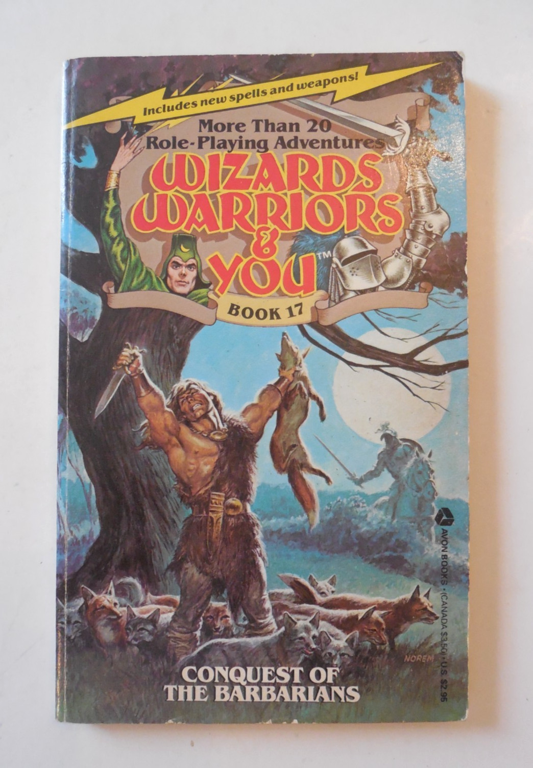 Wizards Warriors & You Book 17: Conquest Of The Barbarians Role-Playing Book