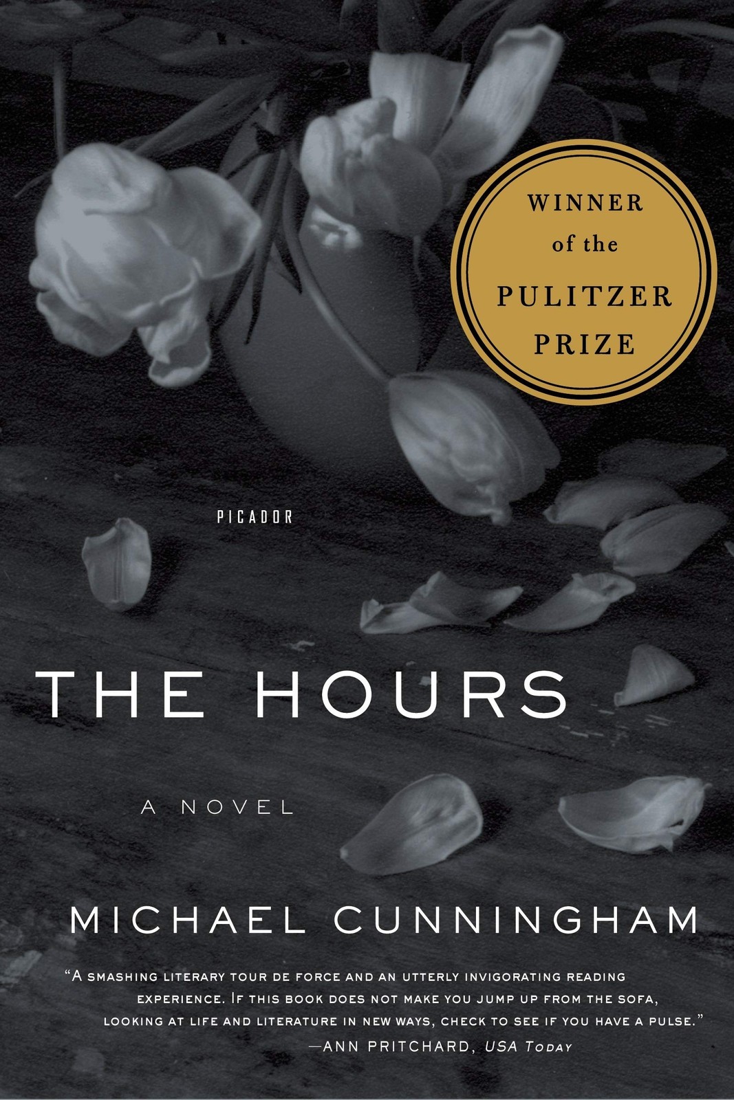 Hours, The (Picador Modern Classics, 1)
