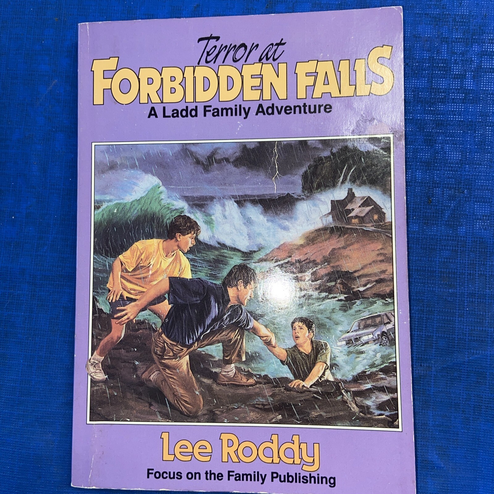 Terror at Forbidden Falls; A Ladd Family Adventure By Lee Roddy