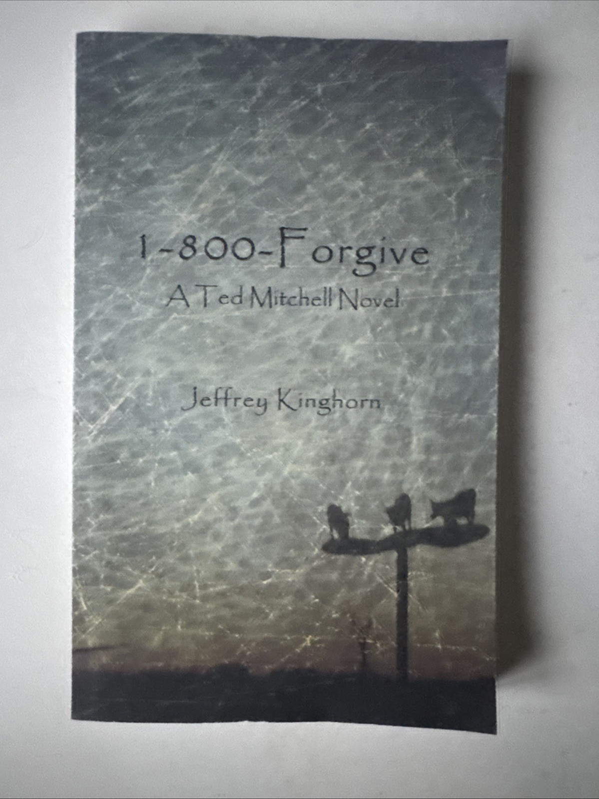 1-800-Forgive by Jeffrey Kinghorn (2011, Trade Paperback)
