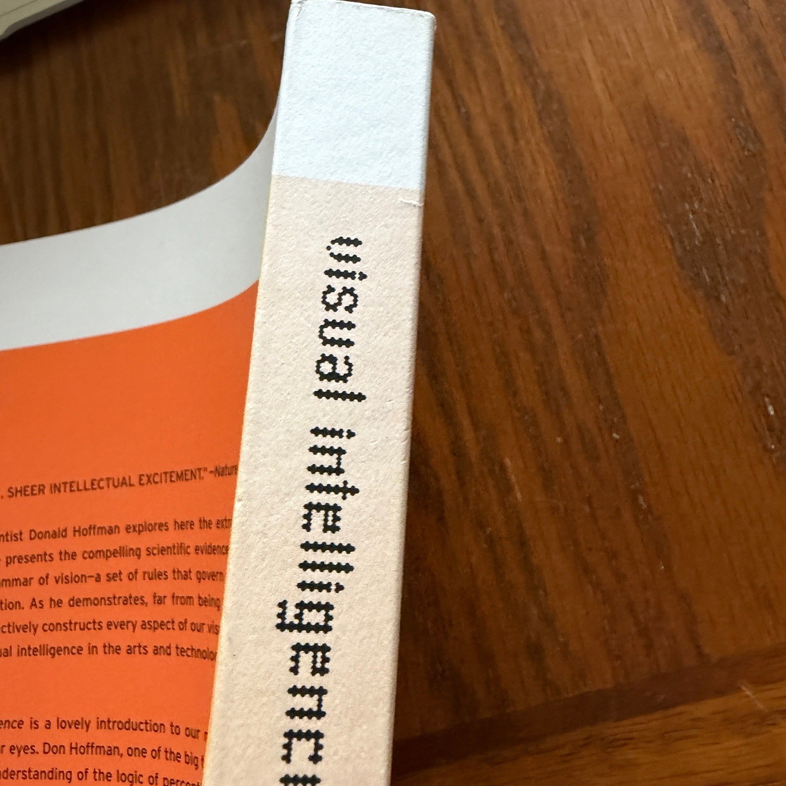 Visual Intelligence Donald D Hoffman Science Psychology Paperback 0393319679