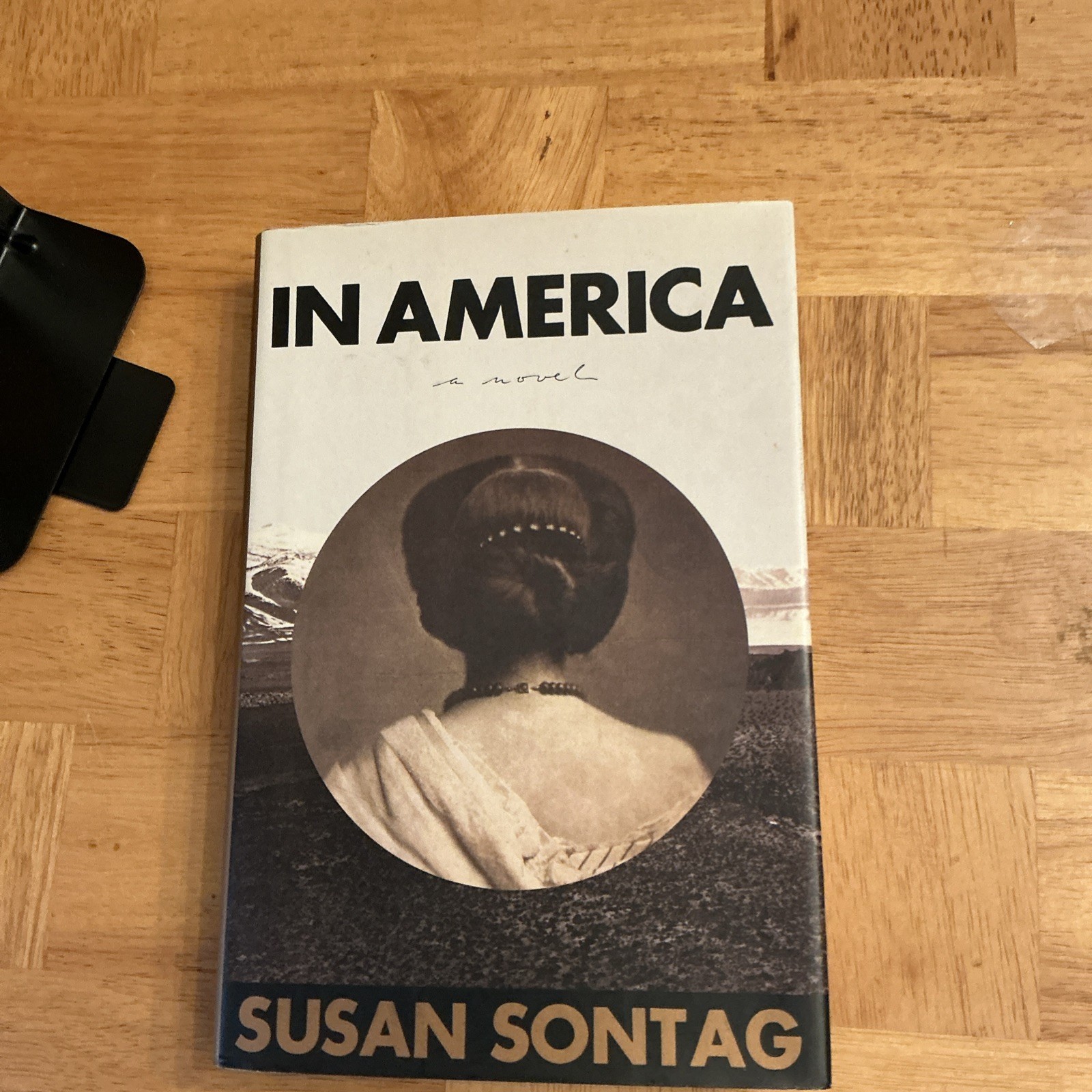 Susan Sontag • In America • First Edition Hardcover • Novel Fiction