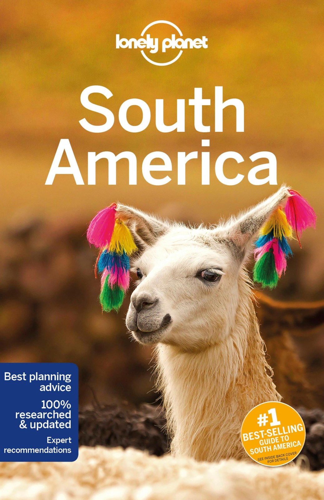Lonely Planet South America 14 (Travel Guide) – paperback St Louis, Regis|Al…