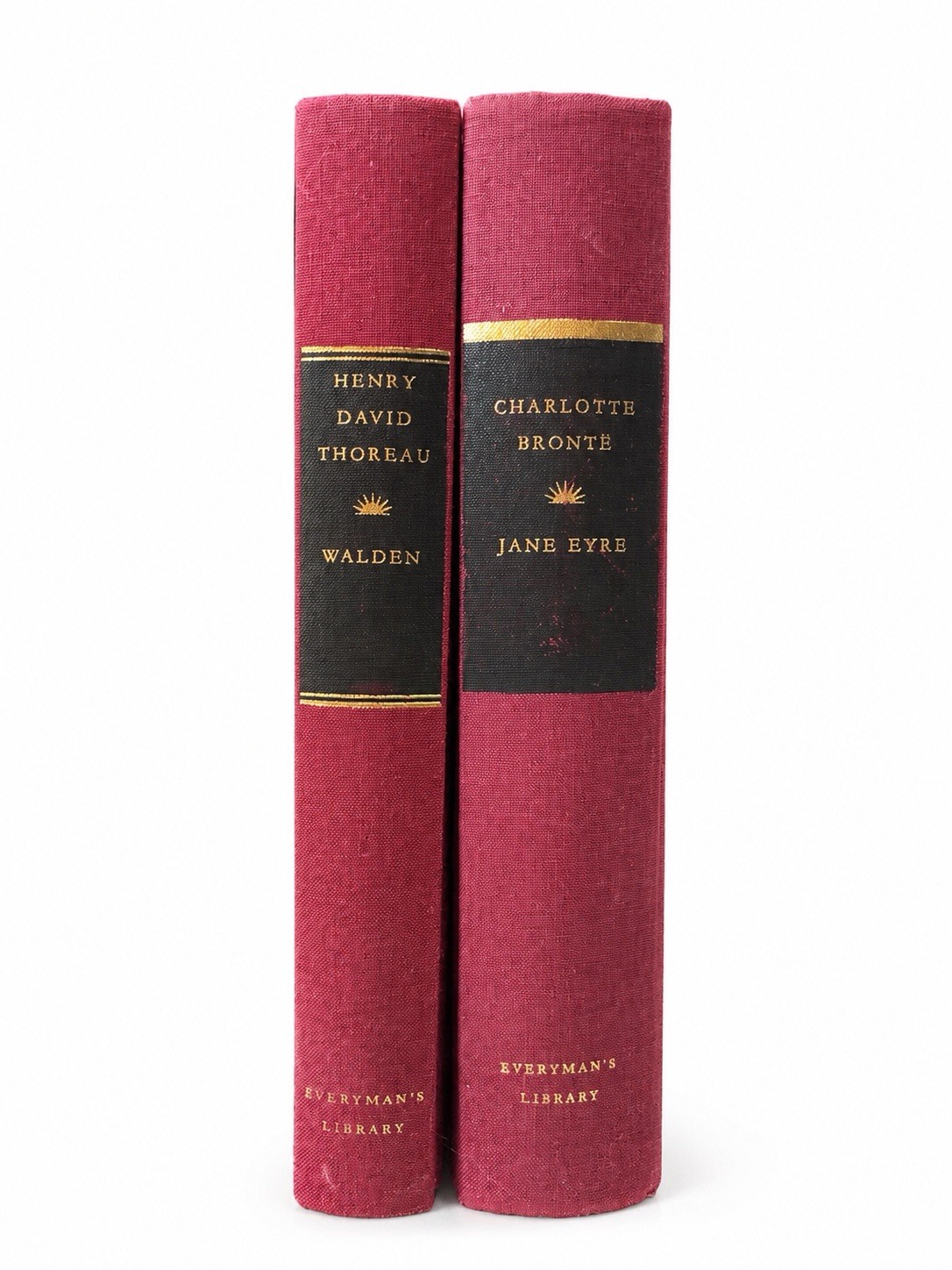 Everyman’s Library Walden Jane Eyre Hardcover Classics Lot Thoreau Bronte