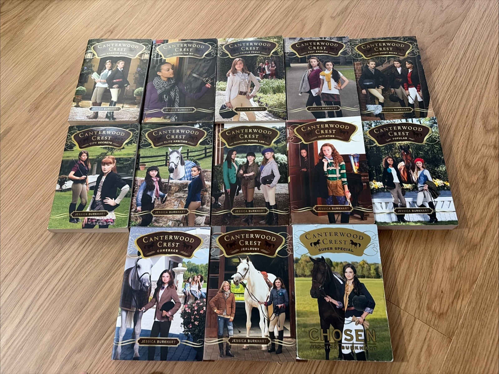 Canterwood Crest Jessica Burkhart Horse Books Lot Of 13 PB 2-5 8-11 13-15 17 +