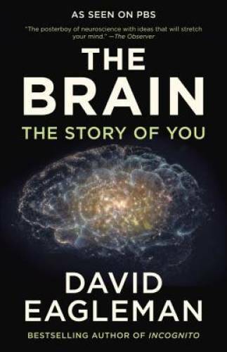 The Brain: The Story of You – Paperback By Eagleman, David – GOOD