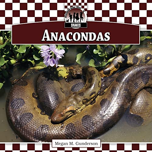 Anacondas (Snakes) – GOOD