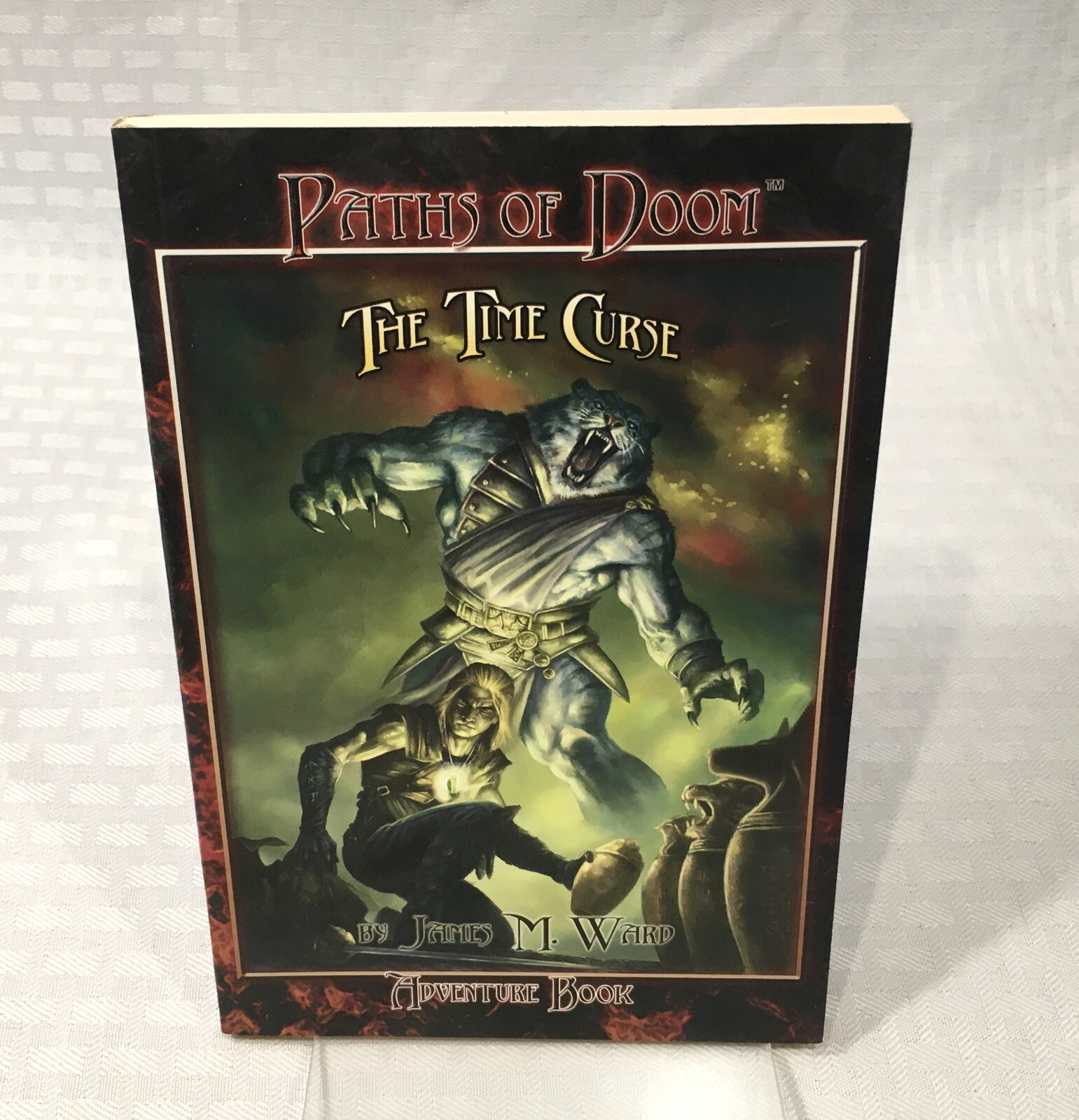 PATHS OF DOOM / JAMES M. WARD / TIME CURSE / PB / ADVENTURE BOOK