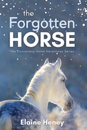 The Forgotten Horse – Book 1 in the Connemara Horse Adventure Series for Kids.