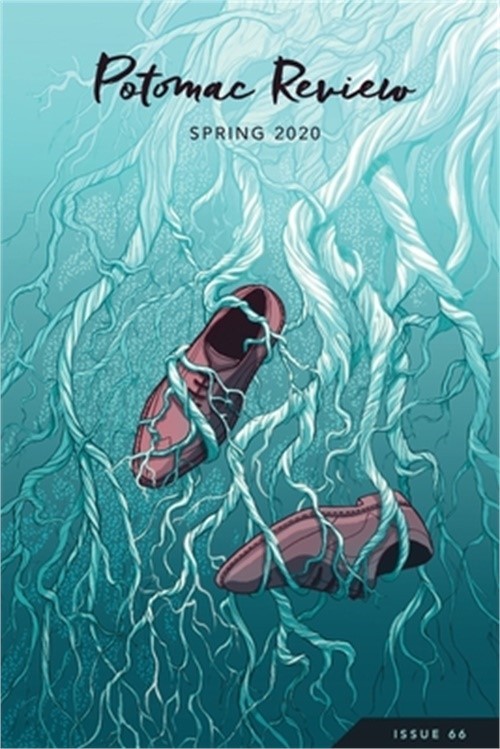 Potomac Review Issue #66 (Paperback or Softback)
