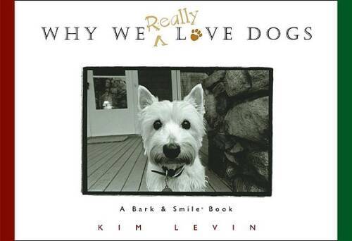 Why We Really Love Dogs – Hardcover By Levin, Kim – VERY GOOD