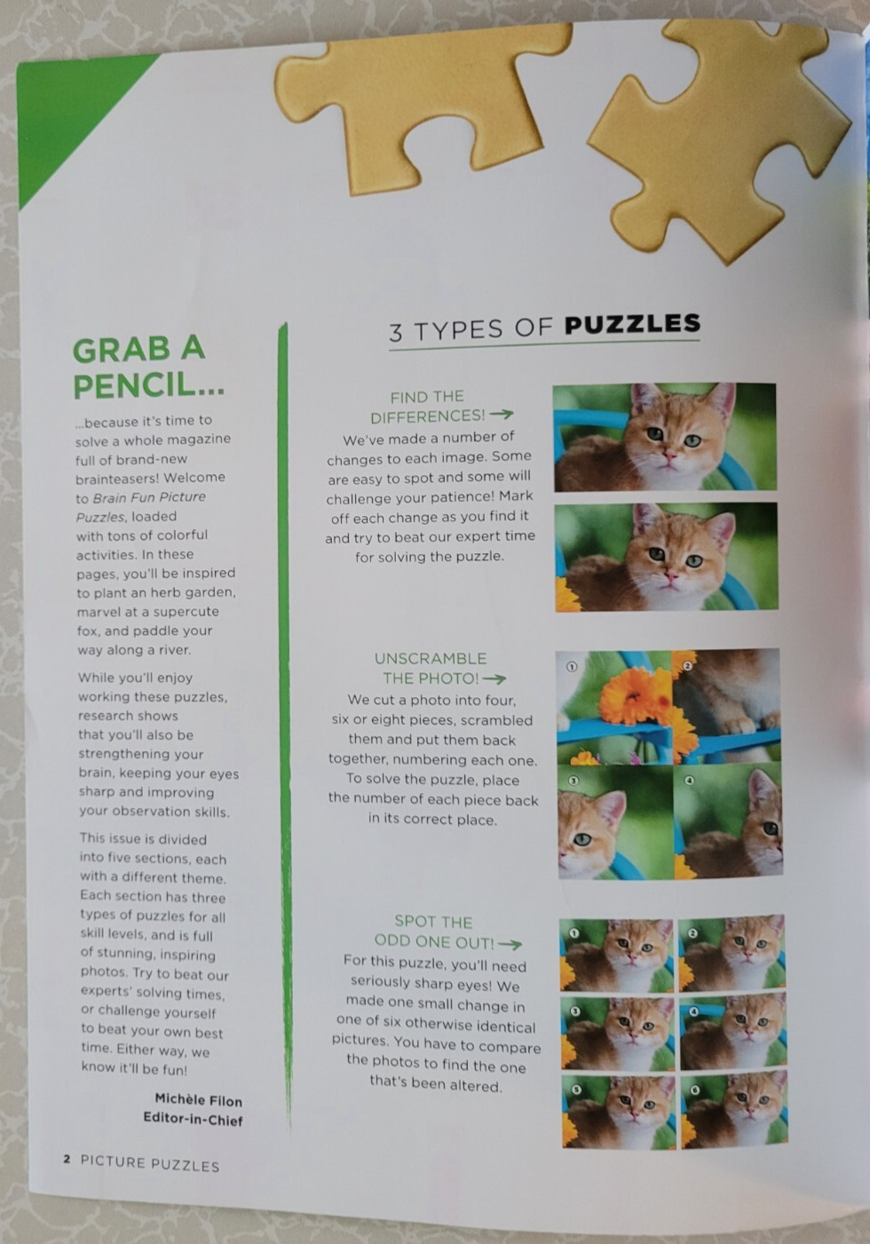 Brain Fun Picture Puzzles: Bundle of 2 – 63 Pages & 5 Categories of Fun In Each
