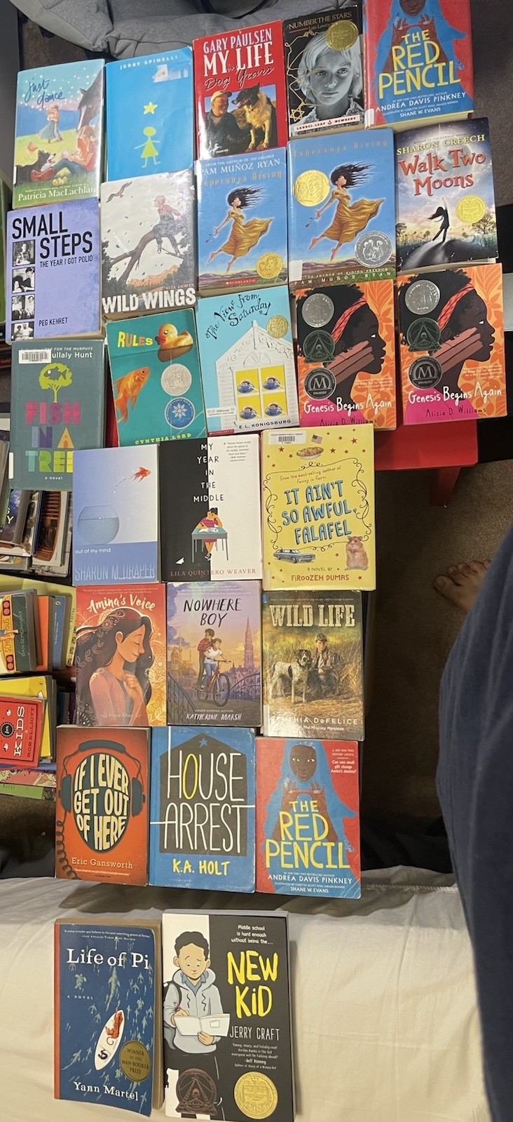 Diverse Voices Realistic Fiction Middle Grade-YA Lot Of 26