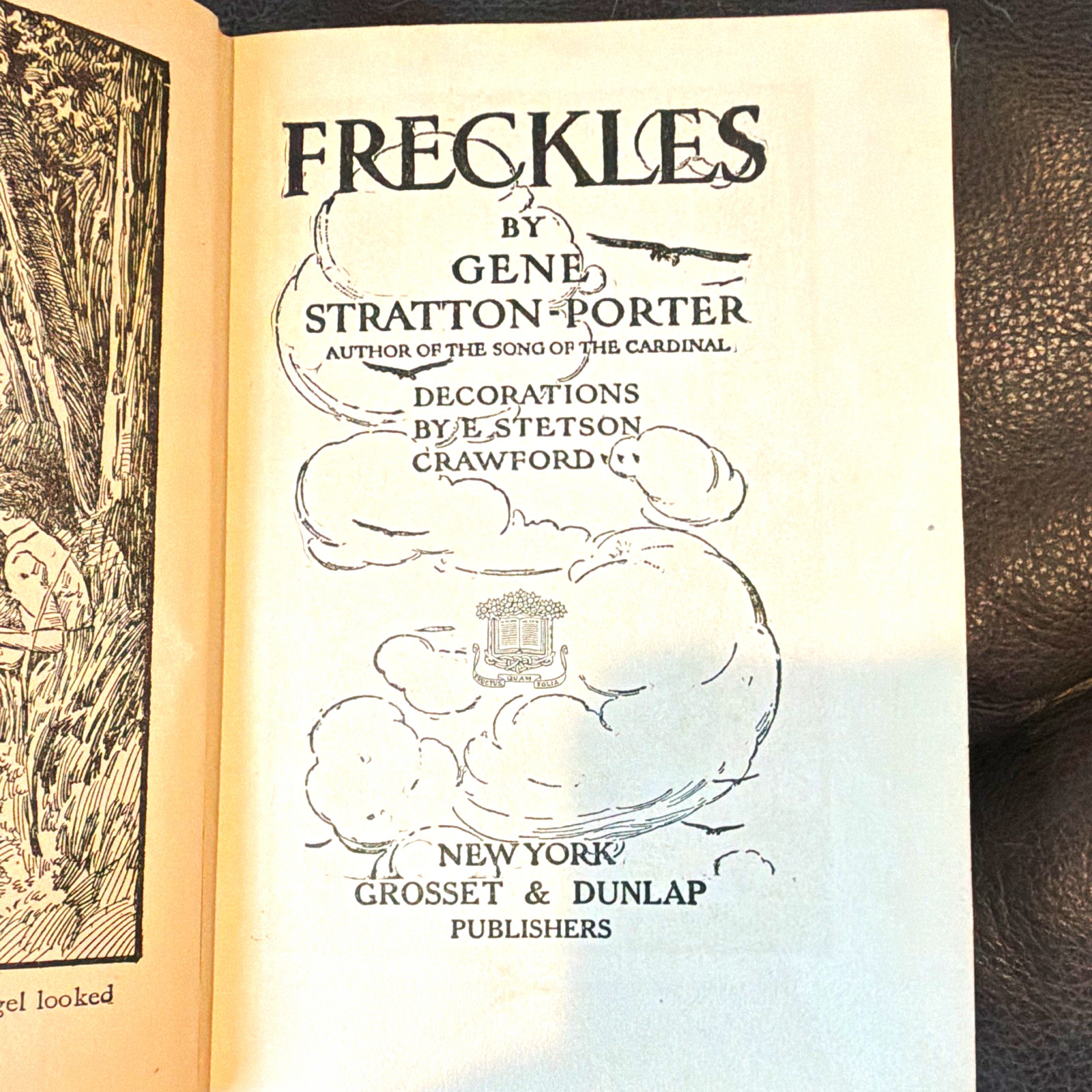 Grosset & Dunlap Freckles by Gene Stratton-Porter HC Illustrated Crawford
