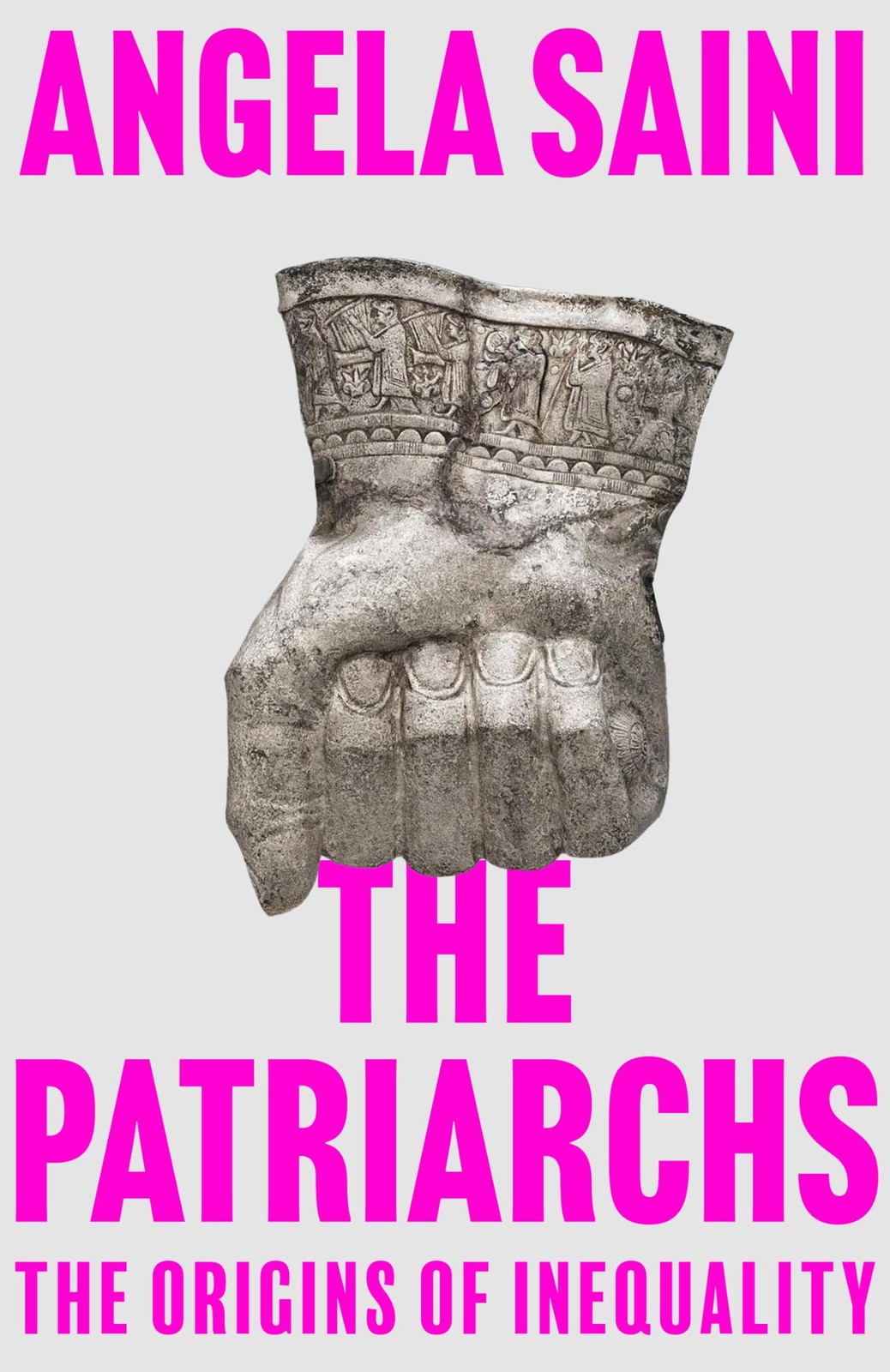 The Patriarchs: The Origins of Inequality, Saini, Angela, Excellent Book