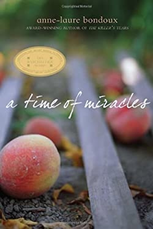 A Time of Miracles Paperback Anne-Laure Bondoux