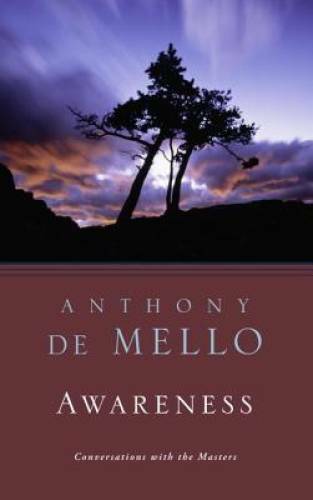Awareness: The Perils and Opportunities of Reality – Paperback – GOOD