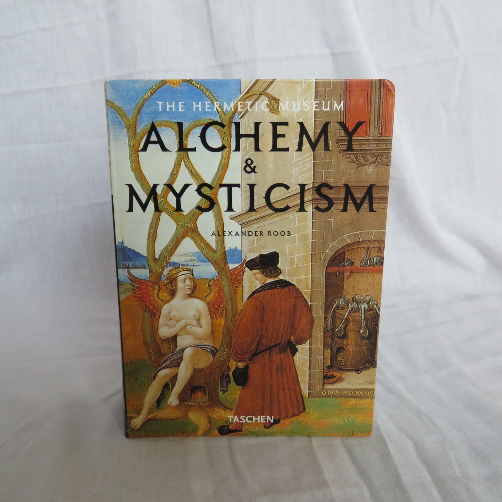 Alchemy and Mysticism Color Illustrated Alexander Roob Hard Cover Ex+