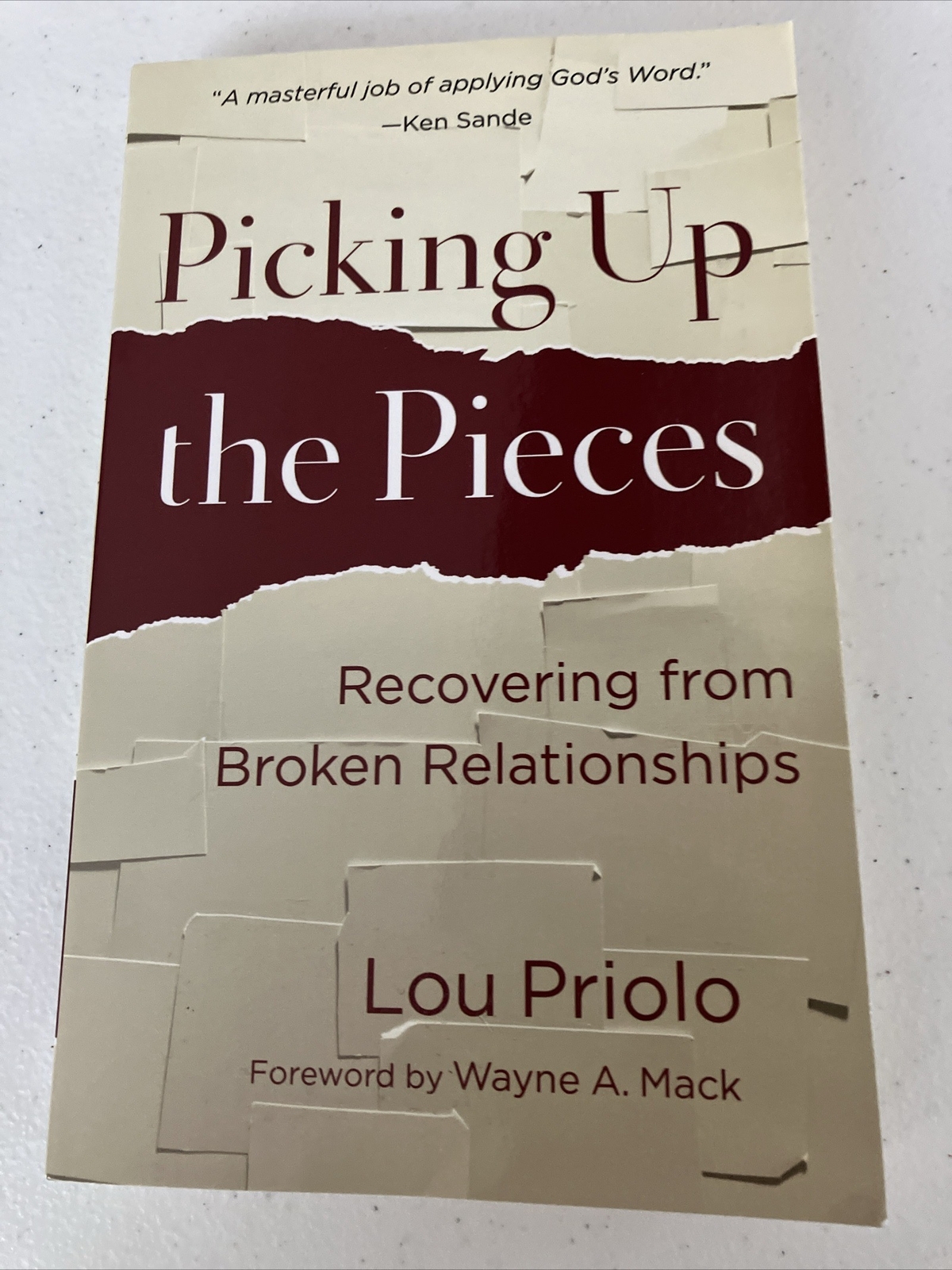 Picking Up the Pieces: Recovering from Broken Relationships [Paperback] Priolo,