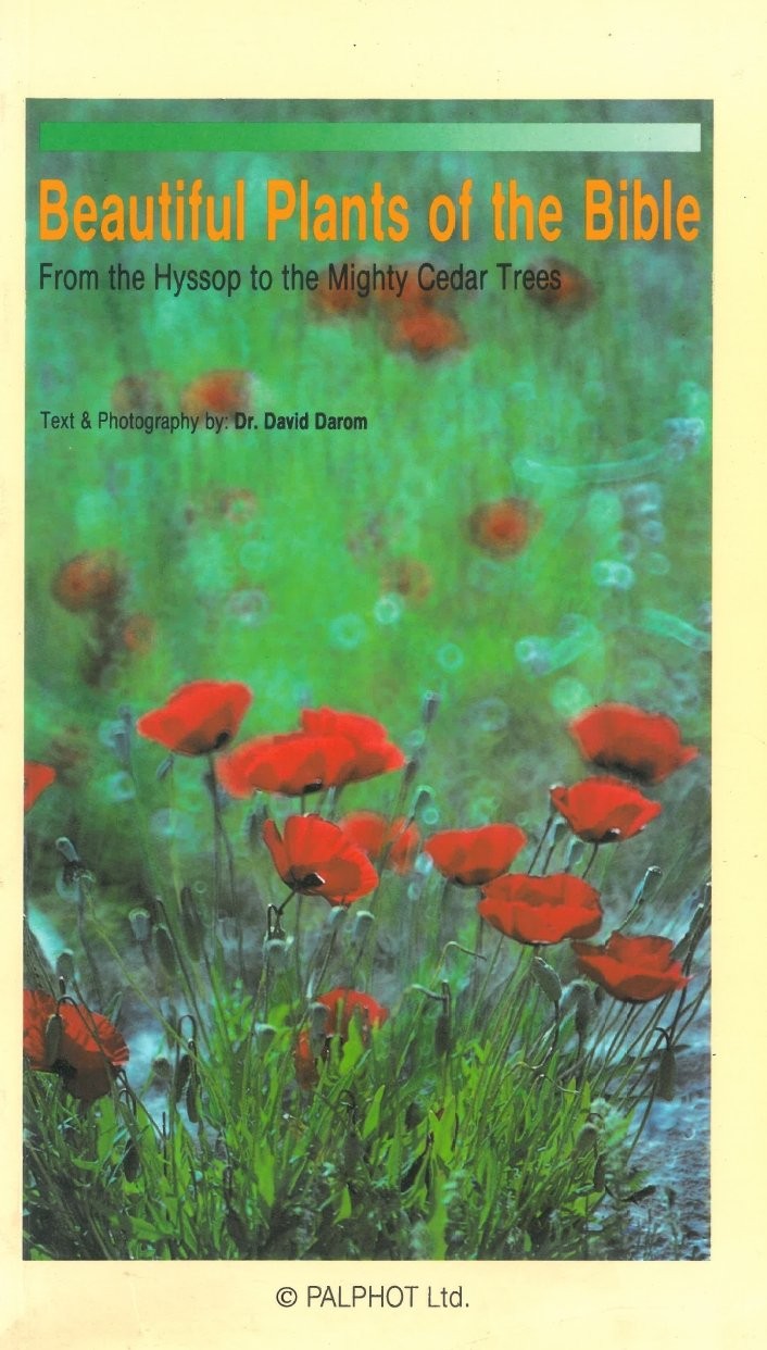 Beautiful Plants of the Bible from the Hyssop to the Mighty Cedar Trees by Darom