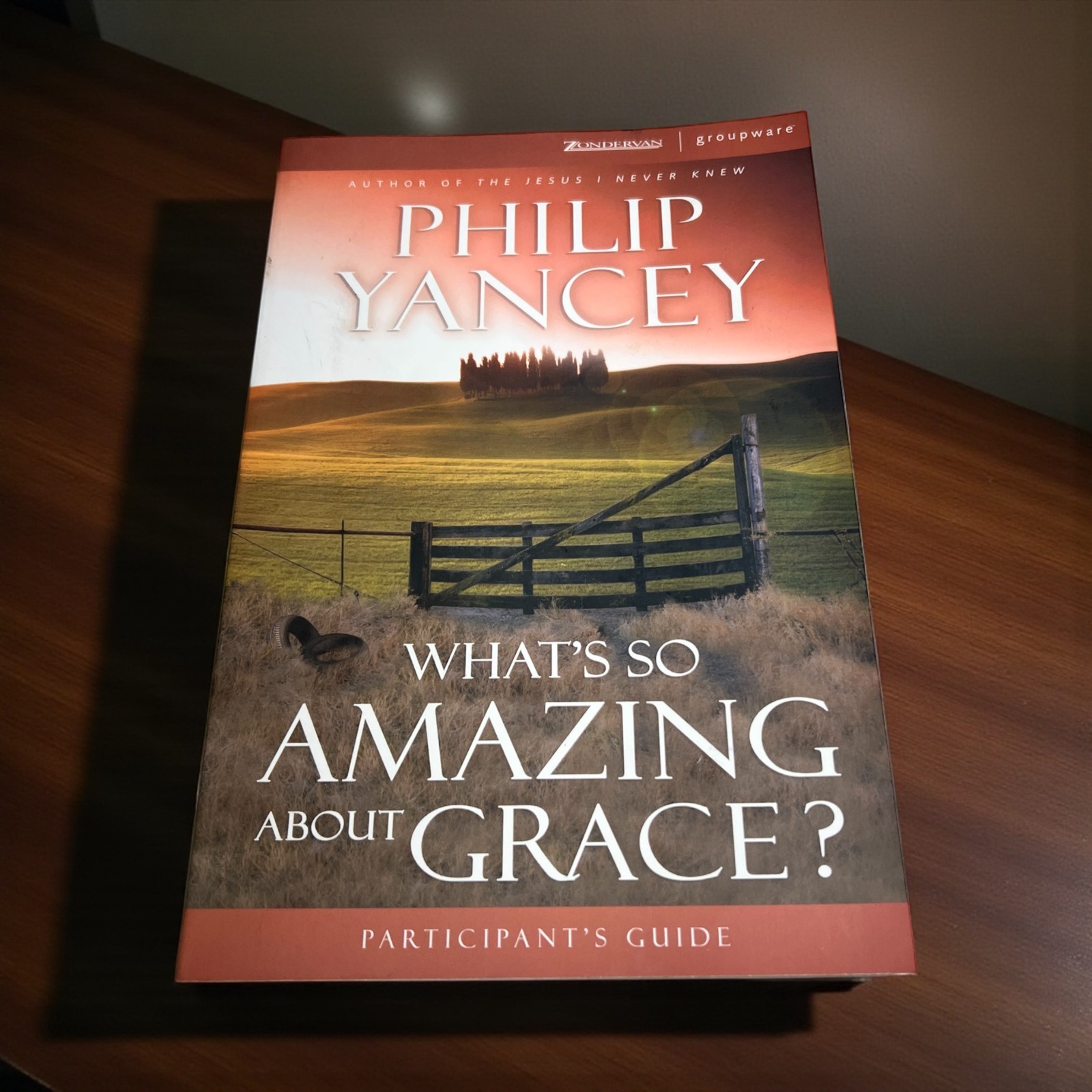 Philip Yancey What’s So Amazing About Grace Study Guide Zondervan