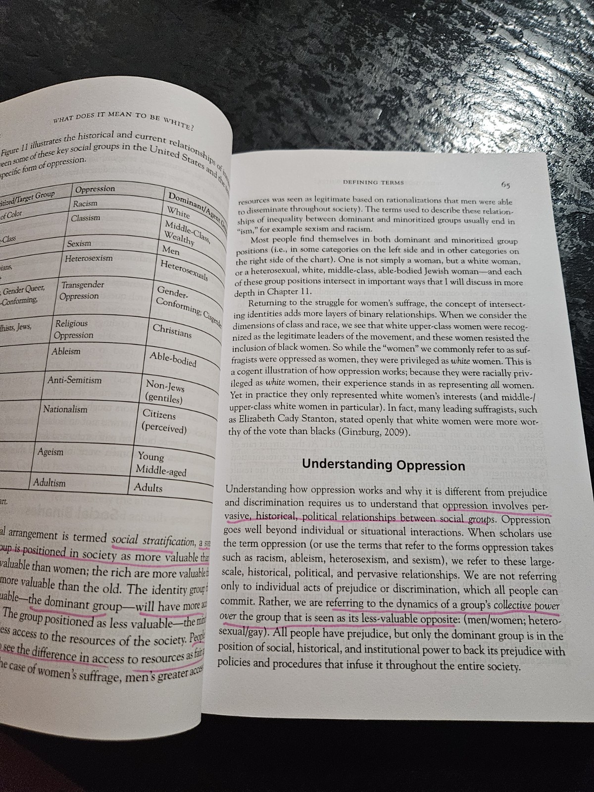 WHAT DOES IT MEAN TO BE WHITE: DEVELOPING RACIAL LITERACY- ~ ROBIN DiANGELO ~NEW