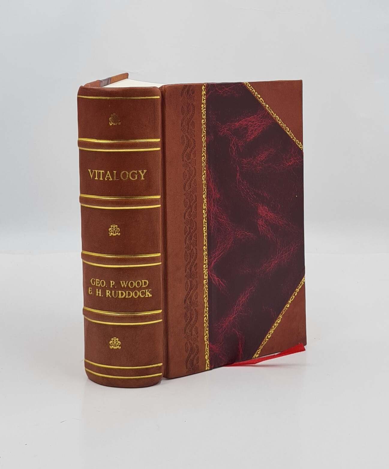 Vitalogy Or Encyclopedia Of Health And Home Adapted For Home And [Leather Bound]