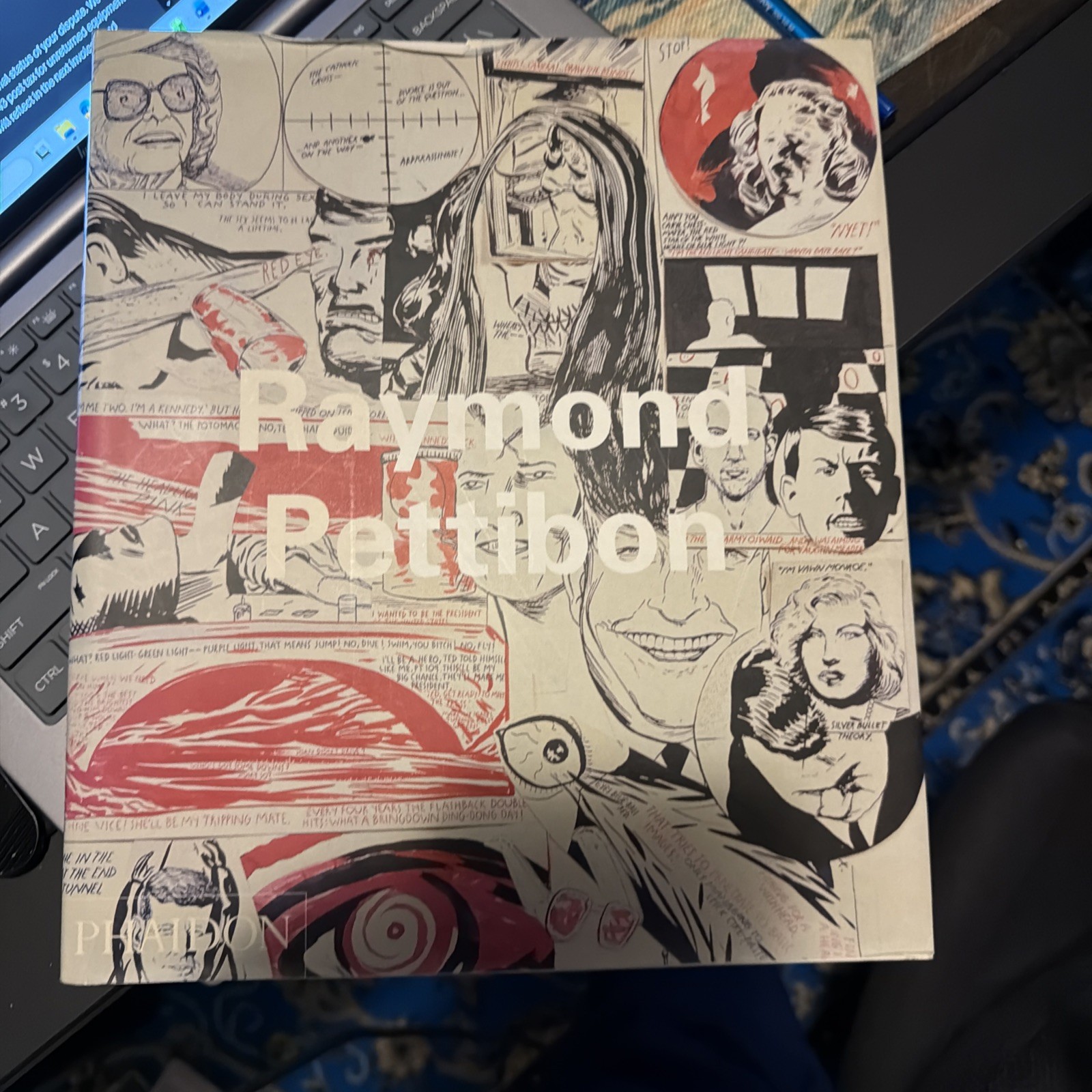 Raymond Pettibon by Ulrich Loock, Dennis Cooper and Robert Storr (2001, Trade…