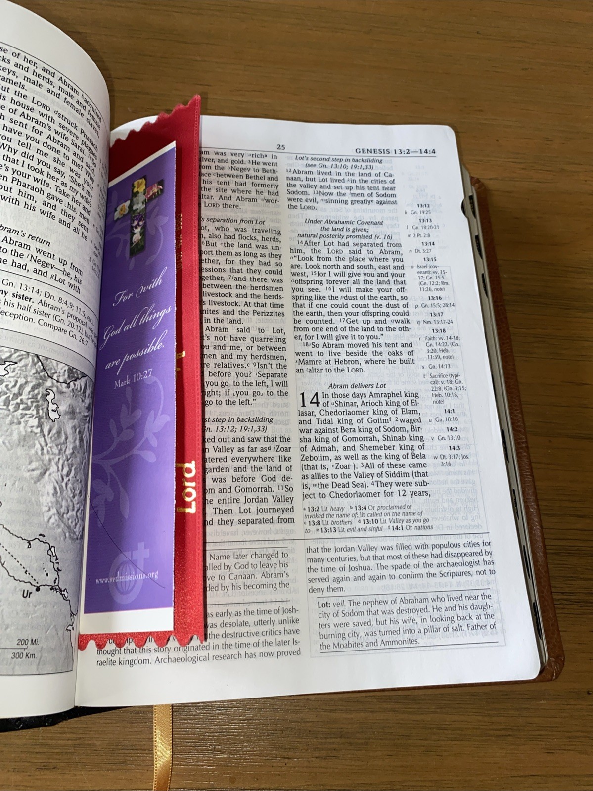 The Scofield Study Bible System HCSB Holman Christian Oxford , Bonded Leather