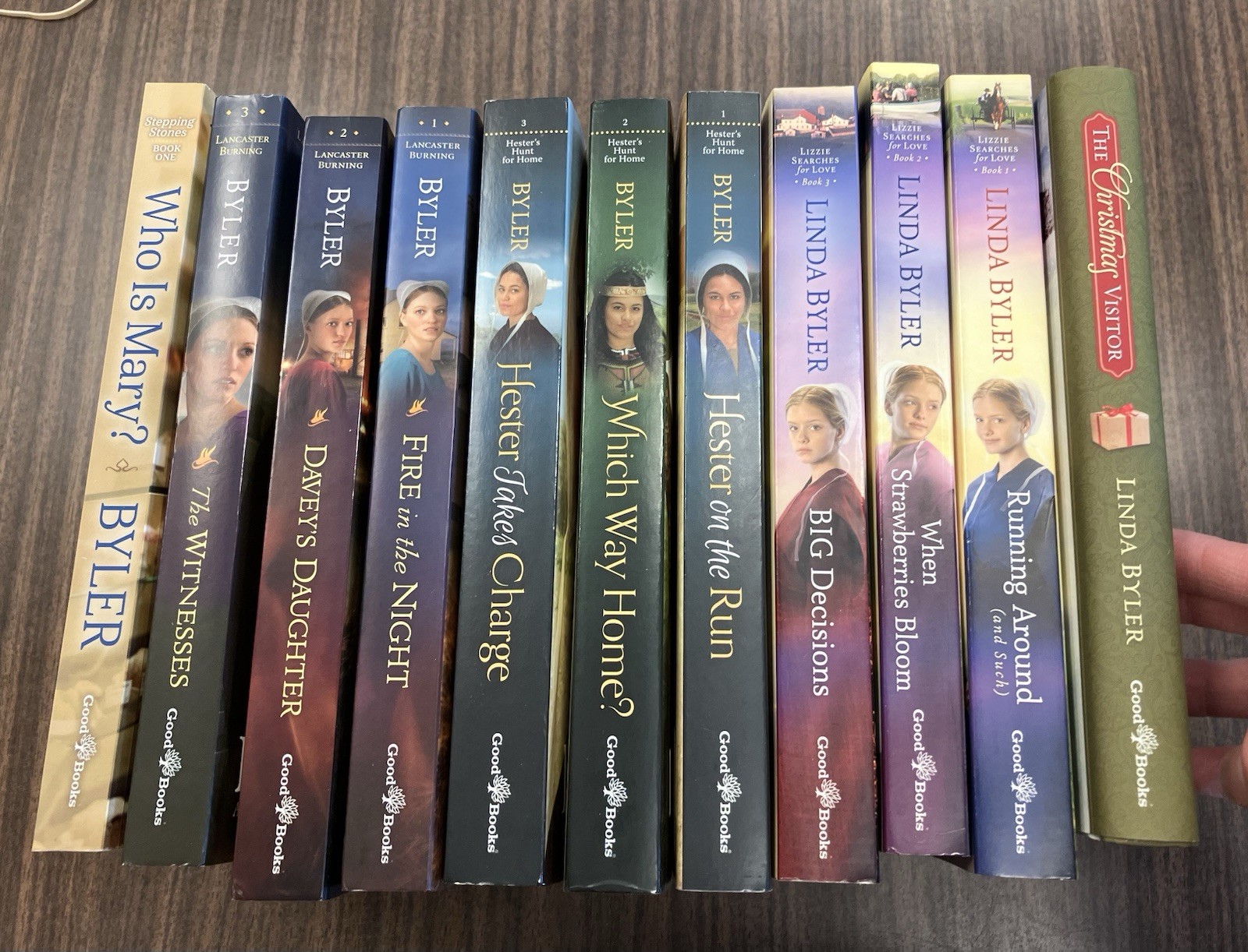 Linda Byler Book Lot of 11 Lancaster Burning Hester’s Hunt Lizzie Stepping Stone