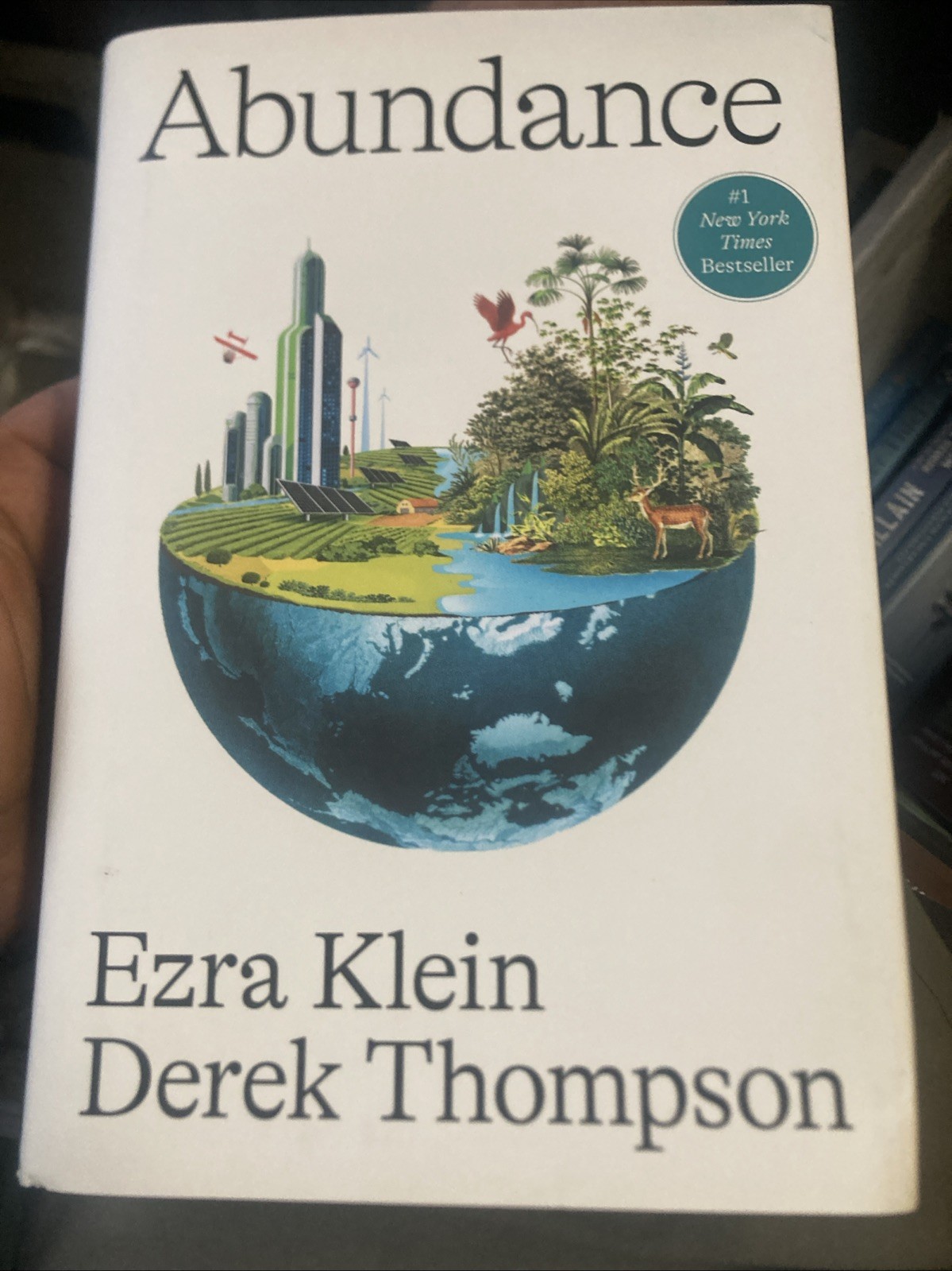 Abundance – hardcover Klein, Ezra|Thompson, Derek