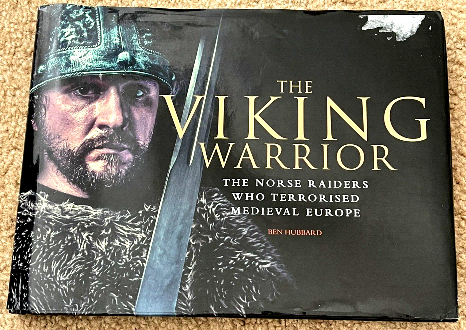The Viking Warrior:The Norse Raiders Who Terrorised Medieval Europe*Ben Hubbard
