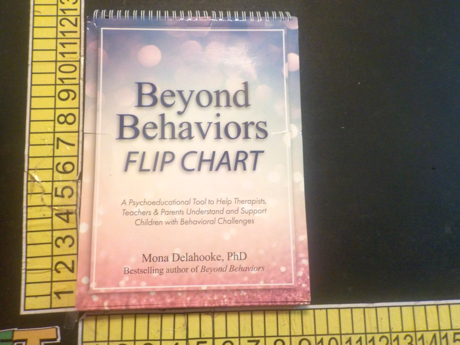 Beyond Behaviors Flip Chart by Mona Delahooke (2022)
