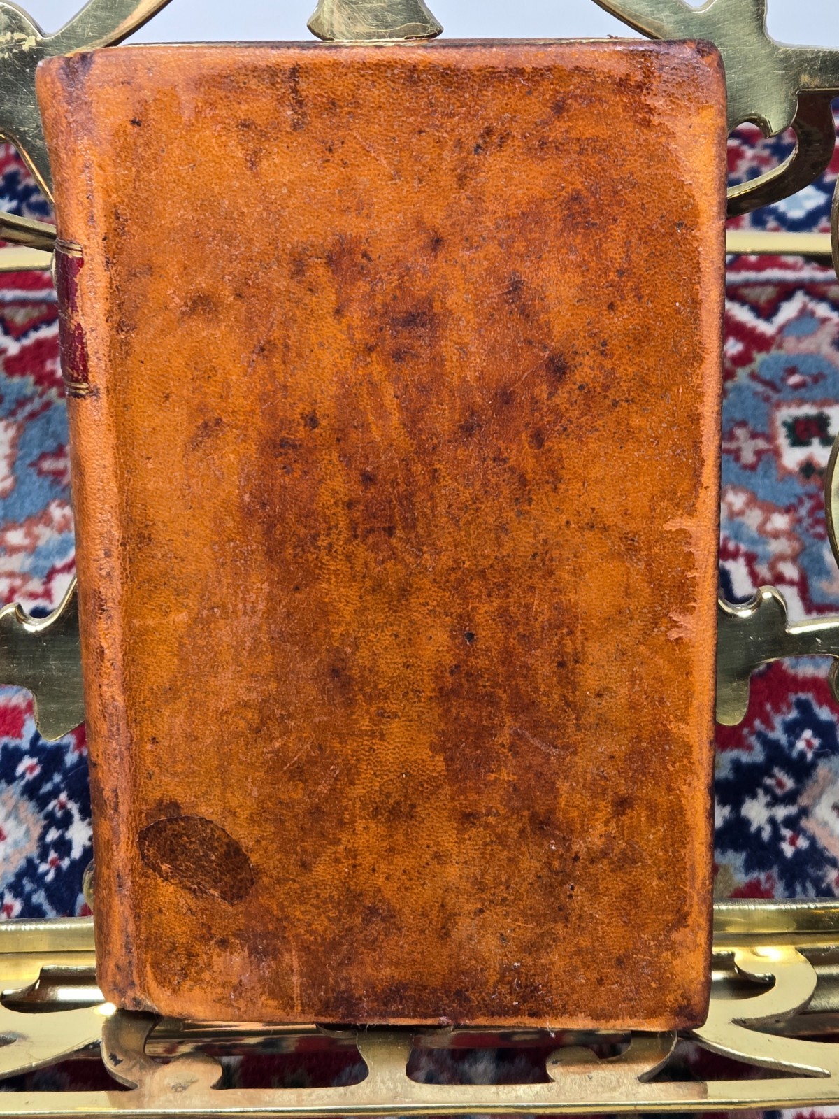 The Constitutions of the United States