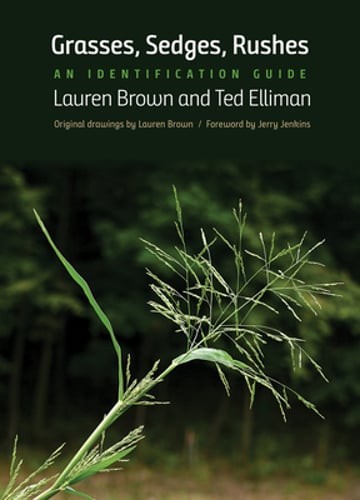 Grasses, Sedges, Rushes: An Identification Guide by Lauren Brown: New