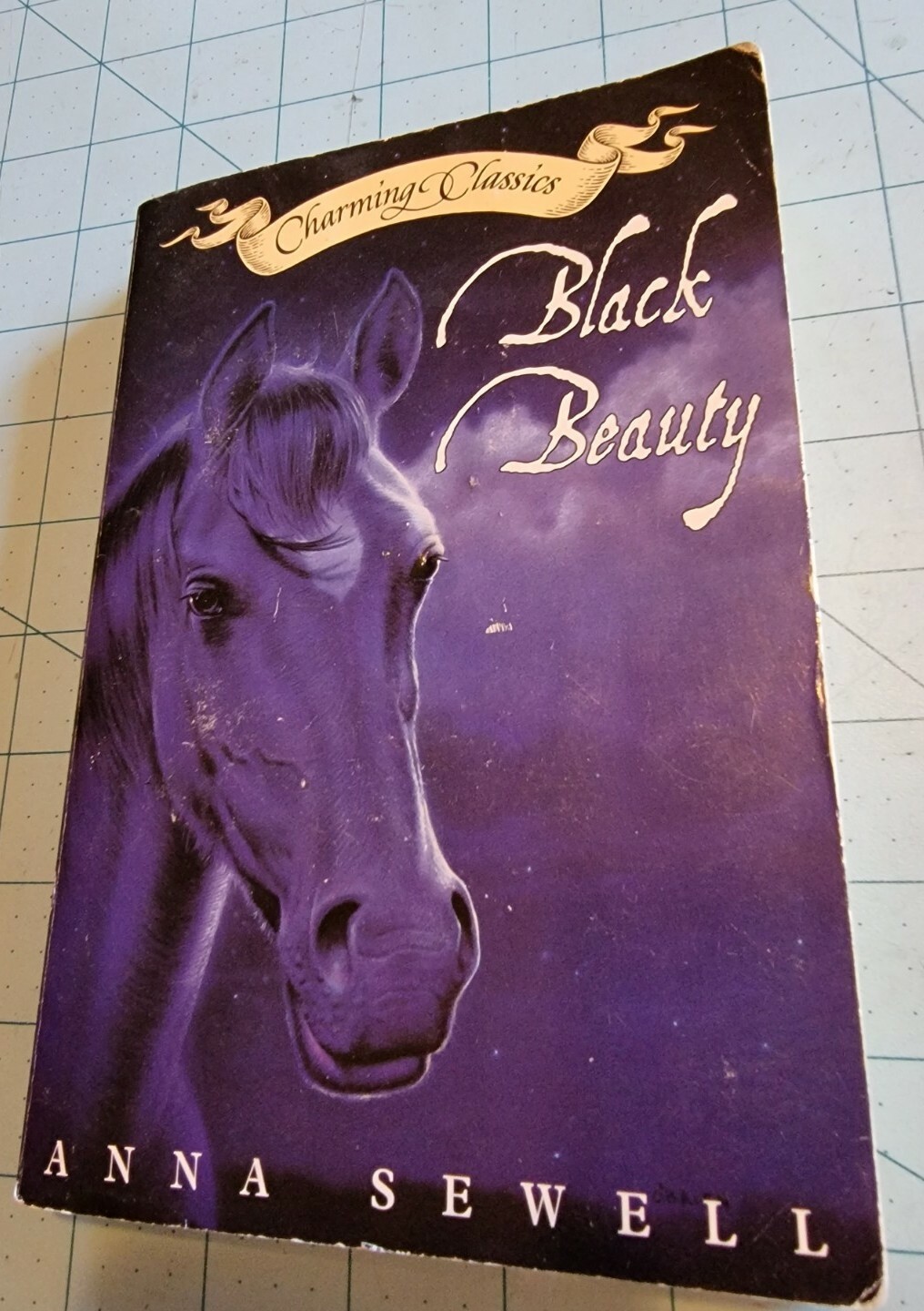 Black Beauty 1998 Paperback Book By Anna Sewell, 277 Pages, Pre-Own & Free Ship