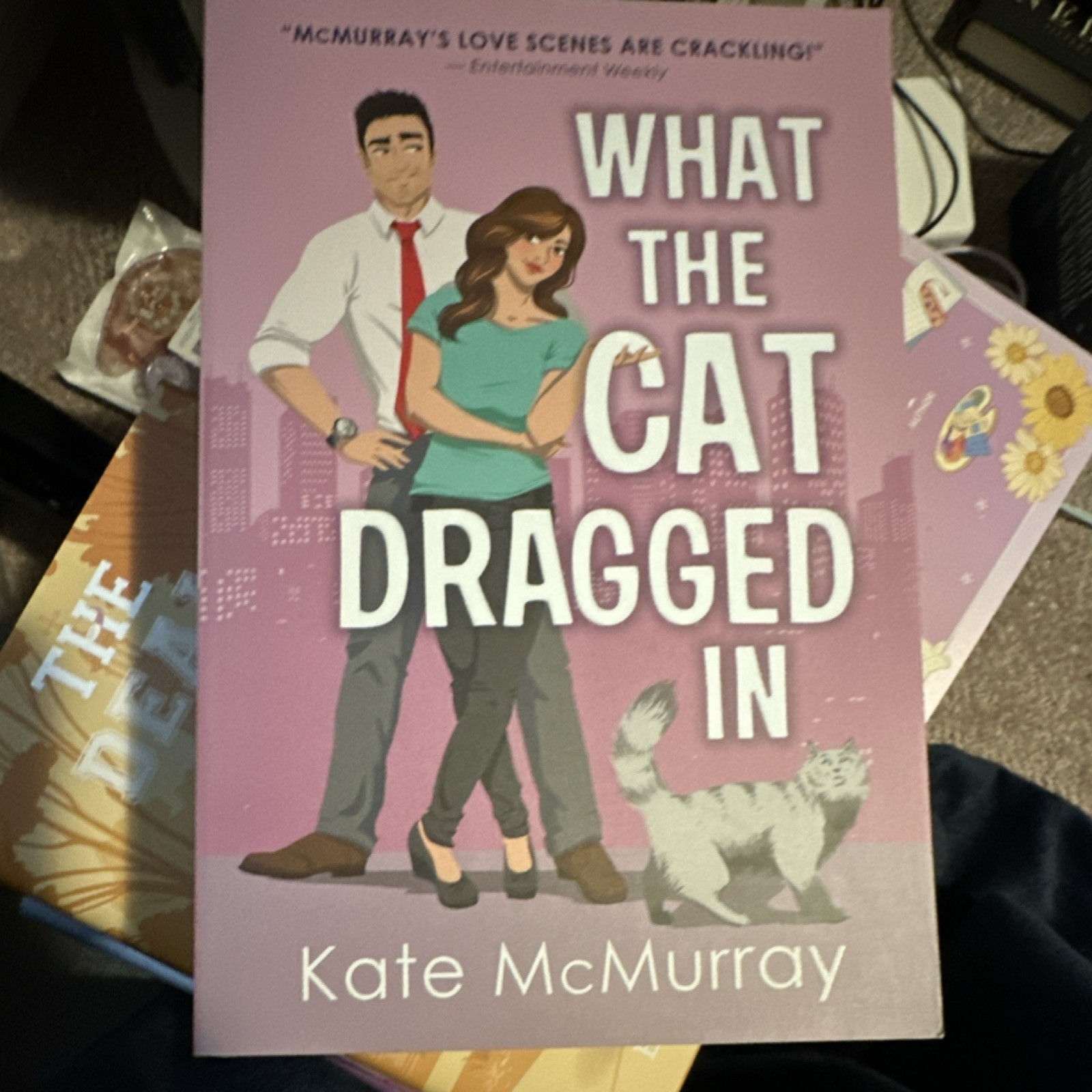 What the Cat Dragged In by Kate McMurray Paperback Romance Sourcebooks