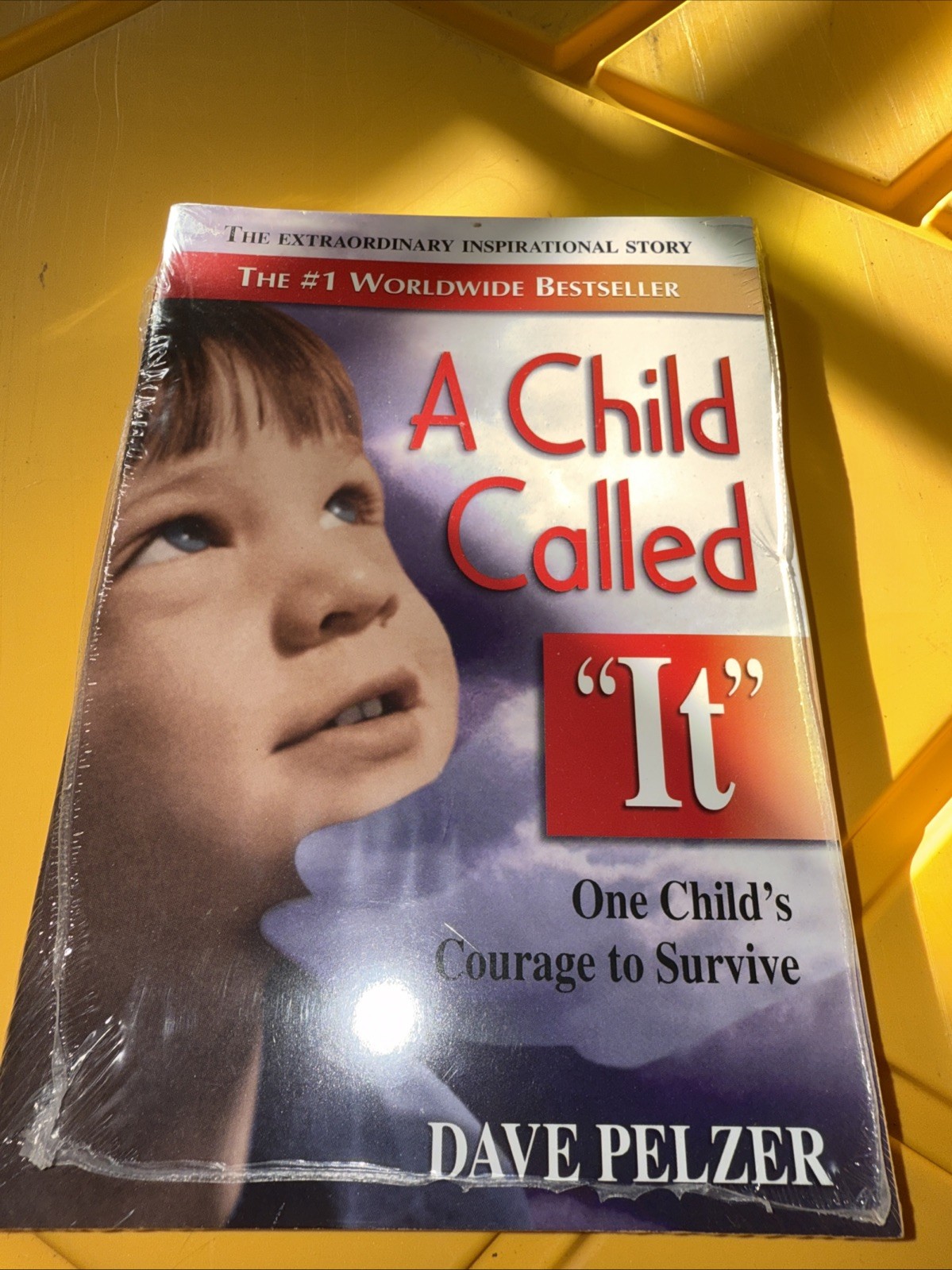 Child Called It : One Child’s Courage to Survive by Dave Pelzer (1995, Trade…