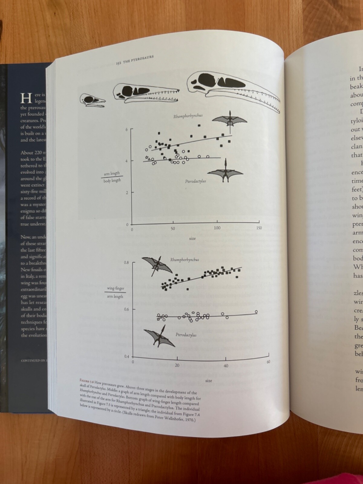 The Pterosaurs: From Deep Time, David M Unwin, Brand New, Hardcover, Brand New