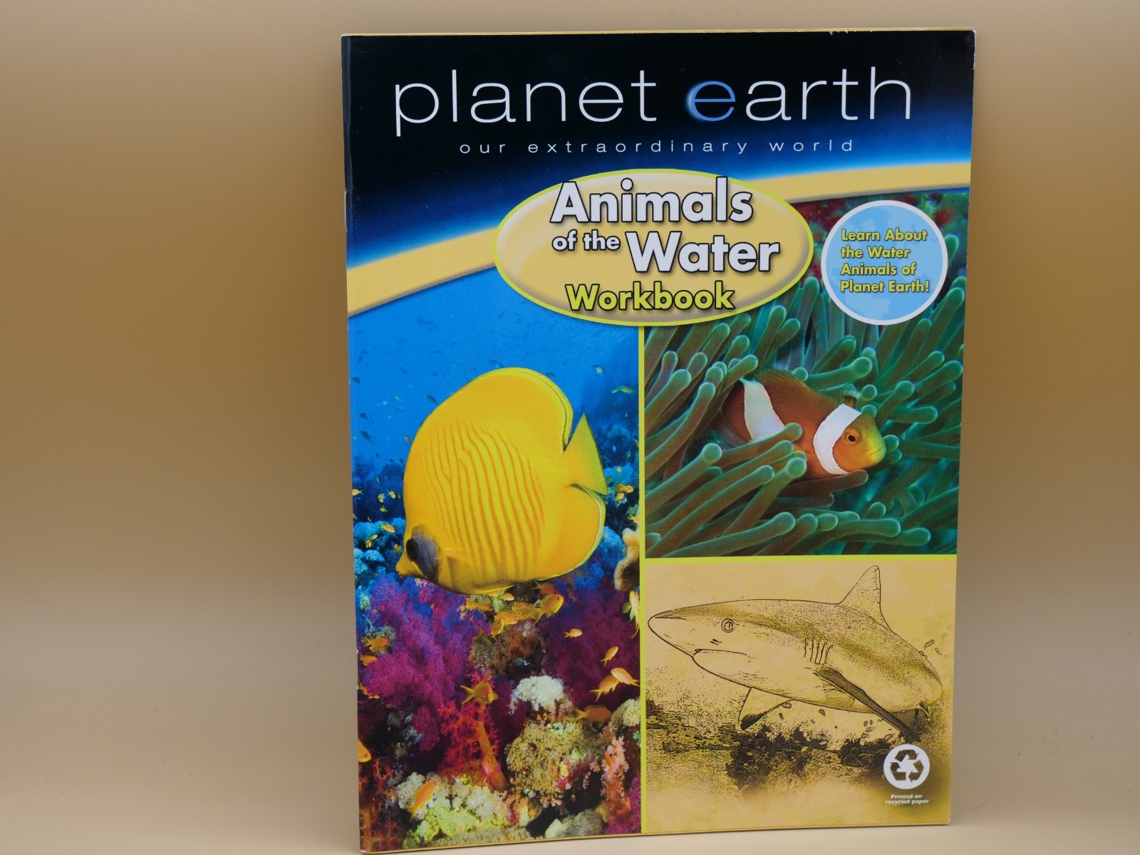 PLANET EARTH ANIMALS OF THE SEA WORKBOOK By Modern Publishing **Mint Condition**