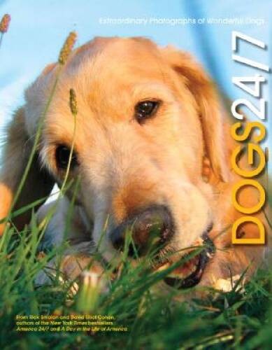 Dogs 247: Extraordinary Photographs of Wonderful Dogs – Hardcover – GOOD