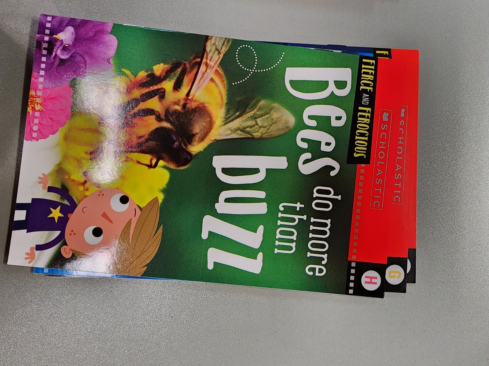 Animal Antics First Grade Reader Box Set: Scholastic Box or Slipcased