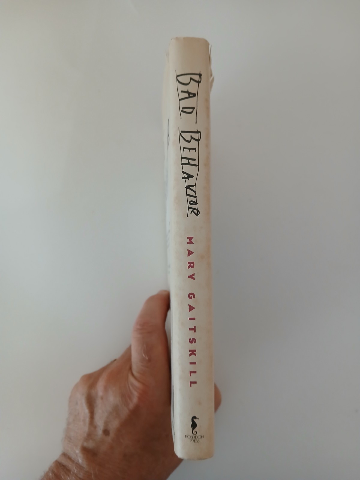 Bad Behavior Mary Gaitskill 1988 First Edition HC Poseidon Press Secretary DJ VG