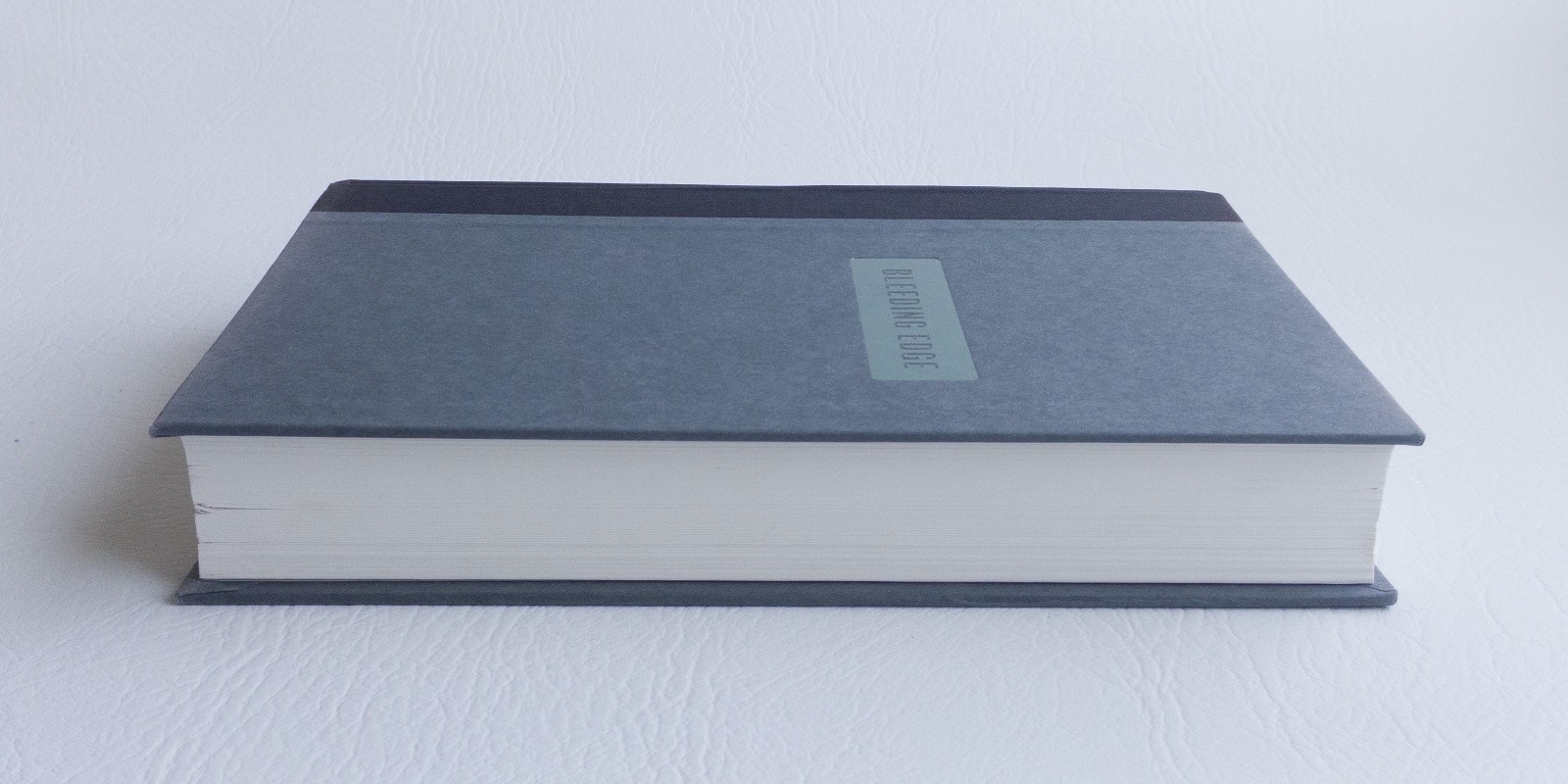 Bleeding Edge Thomas Pynchon 1st Edition 1st Print Hardcover 2013 Penguin Press