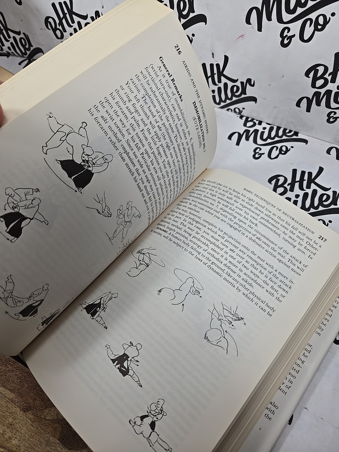 Aikido and the Dynamic Sphere: An Illustrated Introduction