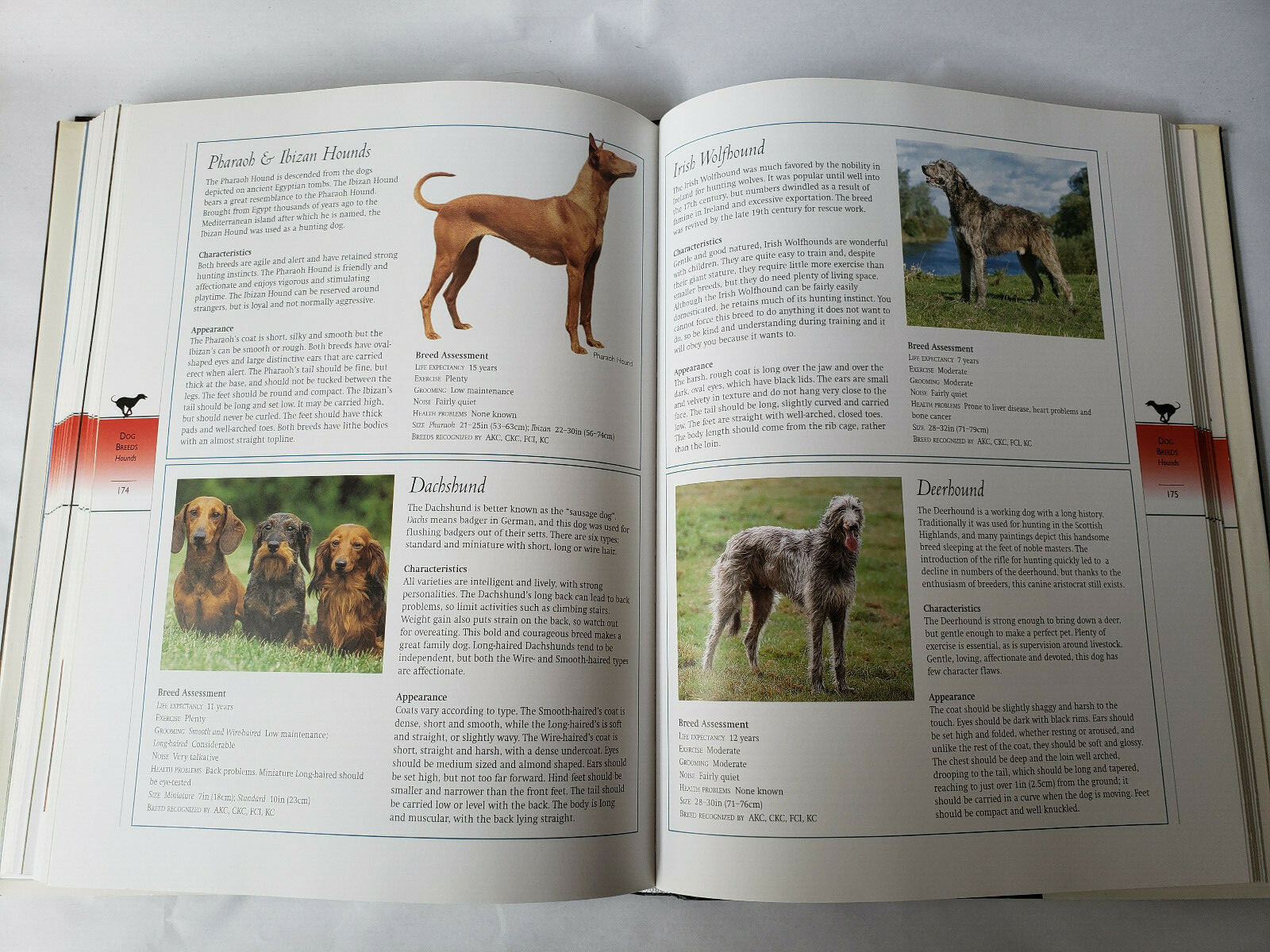 Dog : The Complete Guide – Care, Training, Breeds – Hardcover